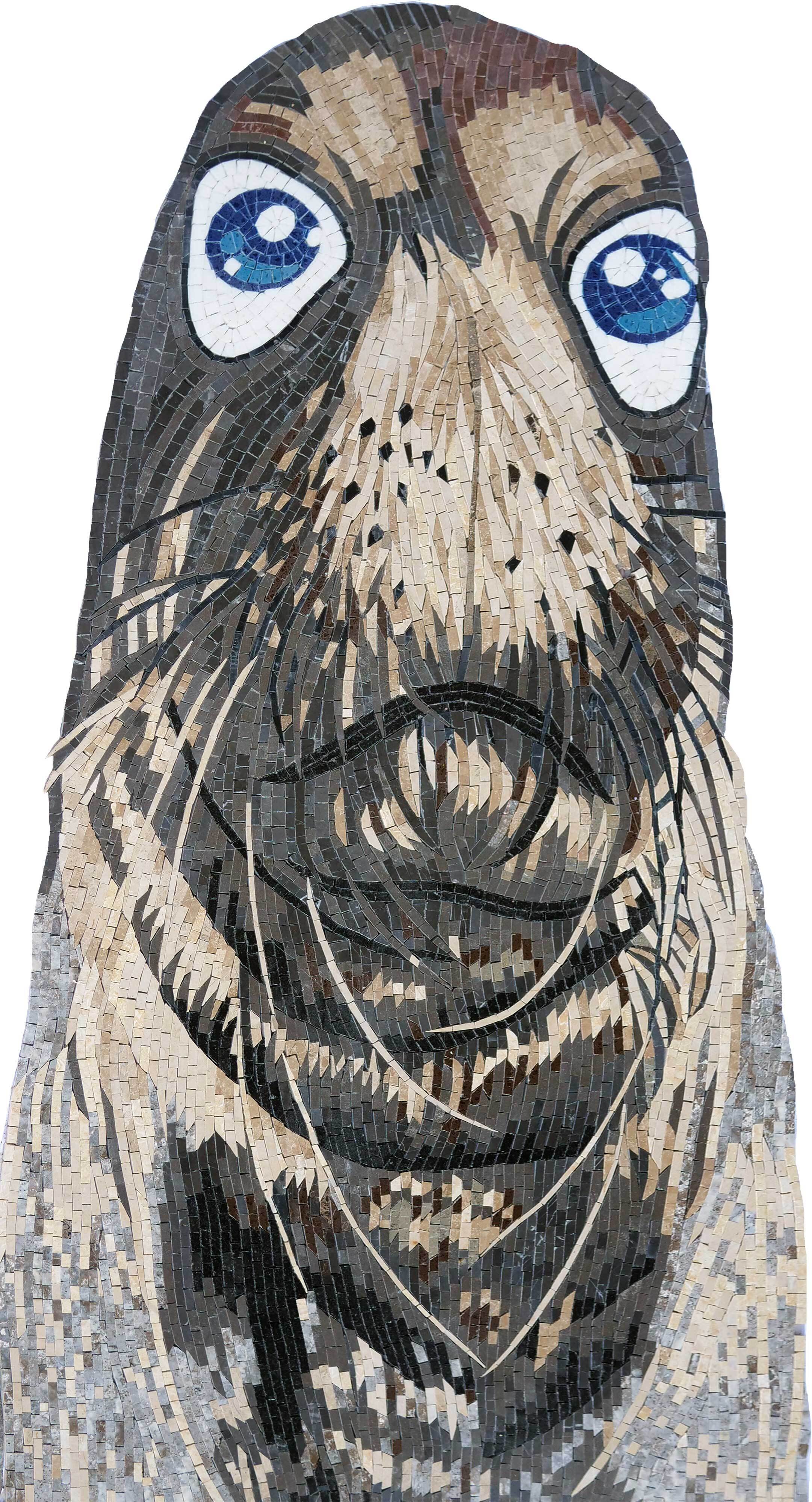 Detailed Marine Seal Face Art - Tile Patterns Mosaic - Mesh Backing