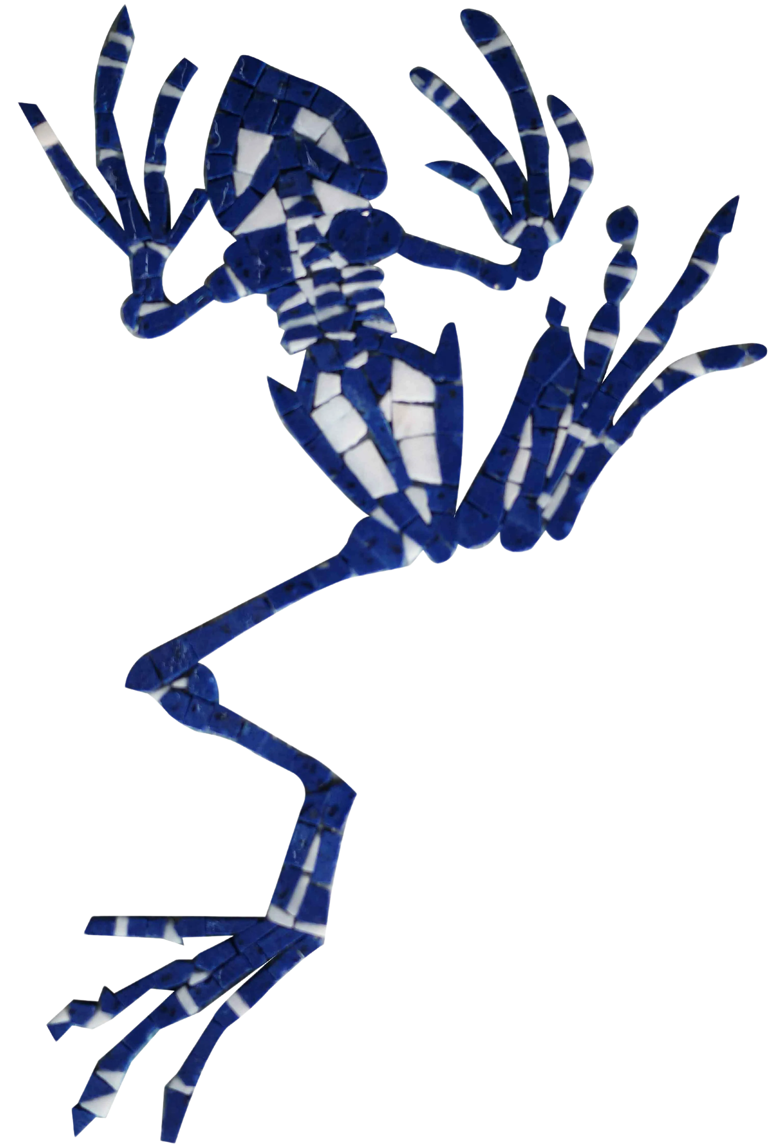 Frog Skeleton - Marble Mosaic Art