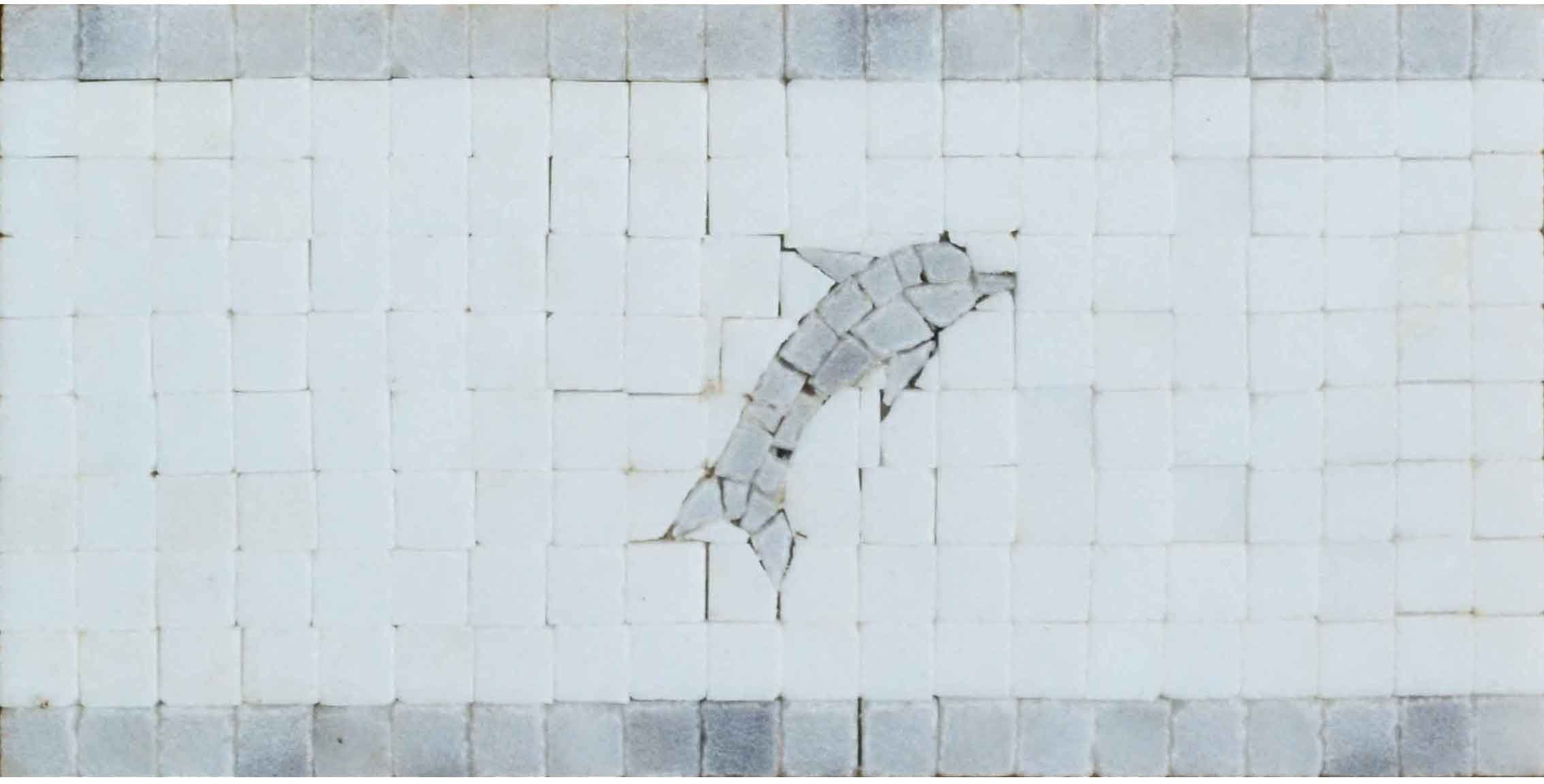 Enigmatic Leaping Dolphin - Marble Mosaic Nautical Border - Mesh Backing