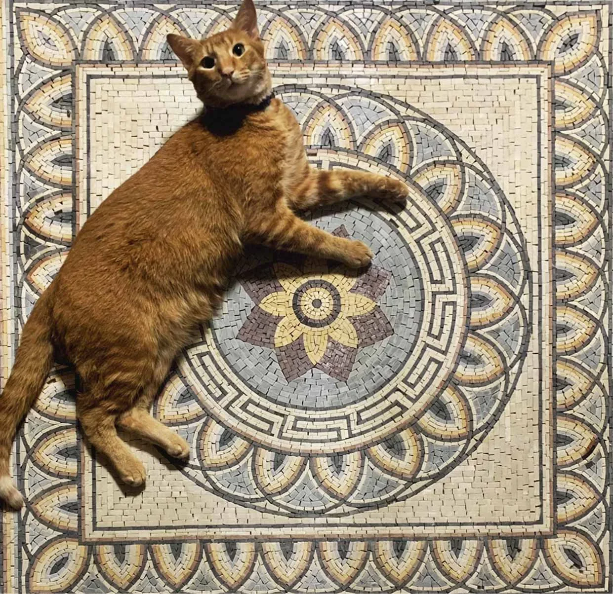 Aquila's Greco-Roman Flower Mosaic - Image 2