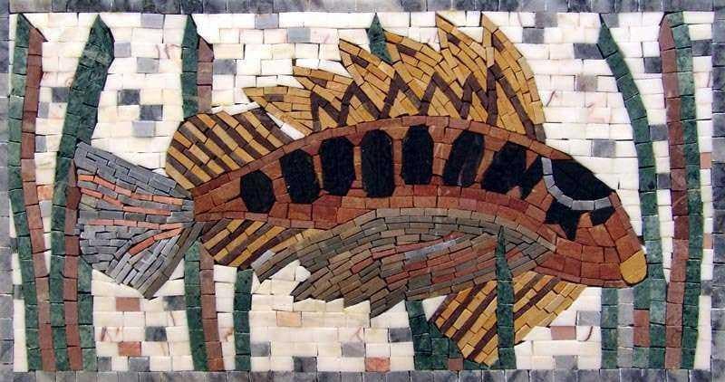 Exotic Fish - Marble Mosaic Design - Mesh Backing